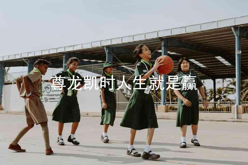 尊龙凯时人生就是赢