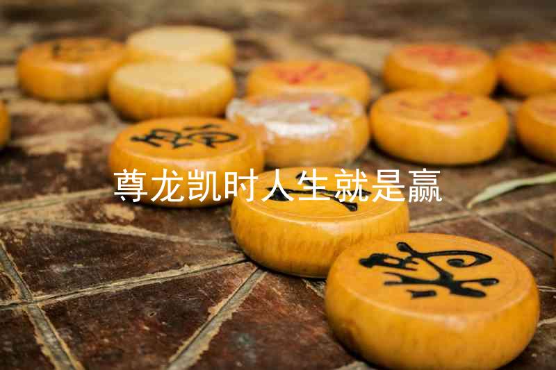 尊龙凯时人生就是赢