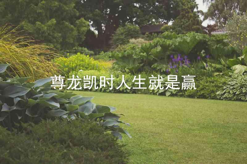 尊龙凯时人生就是赢